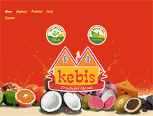 Tablet Screenshot of kebis.com.br